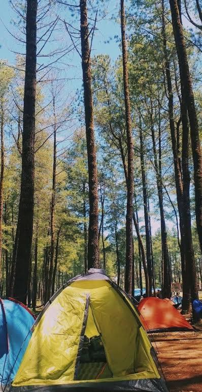 Tapian Ratu Camp Real 부키팅기 외부 사진