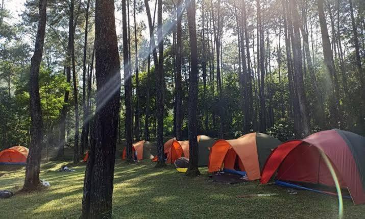 Tapian Ratu Camp Real 부키팅기 외부 사진