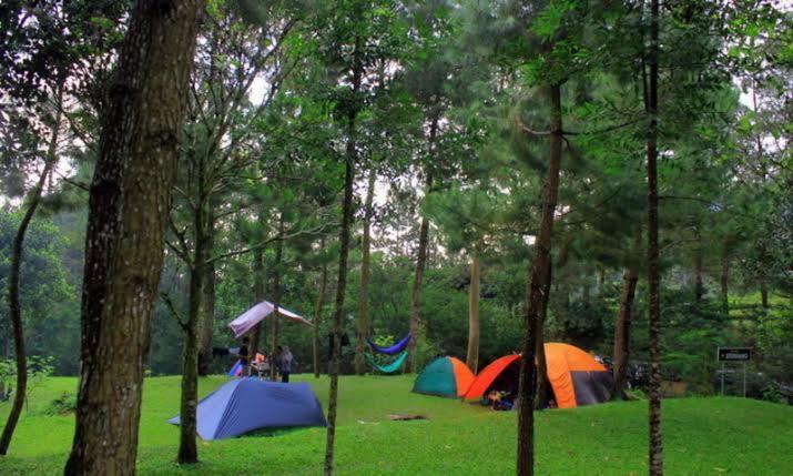 Tapian Ratu Camp Real 부키팅기 외부 사진