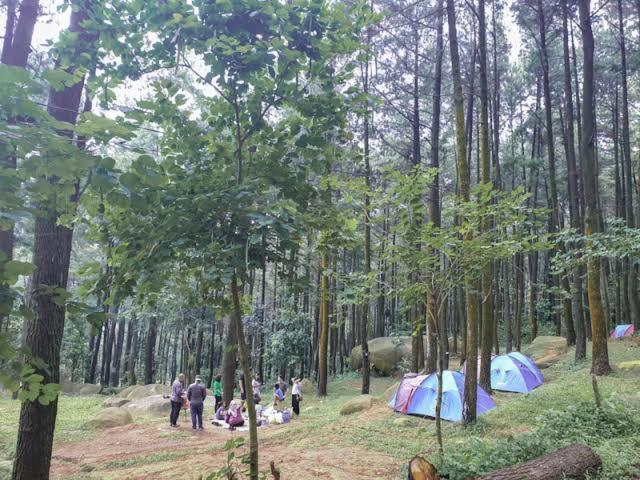 Tapian Ratu Camp Real 부키팅기 외부 사진
